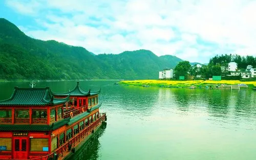 全自动独特高端